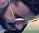 Face of NOsFerus
