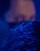 Face 3