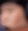 Face 3