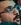 Face 35