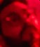 Face 13