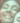 Face 44