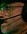Face 6