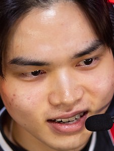 Face of Roamer