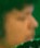 Face of fNb