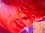 Face 5