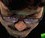 Face 4