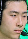 Face of Bull